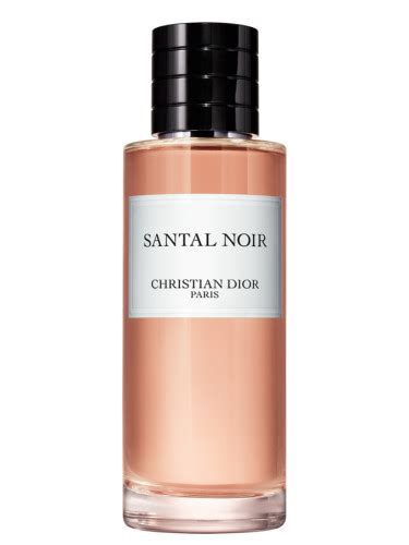 noir dior|christian Dior noir perfume.